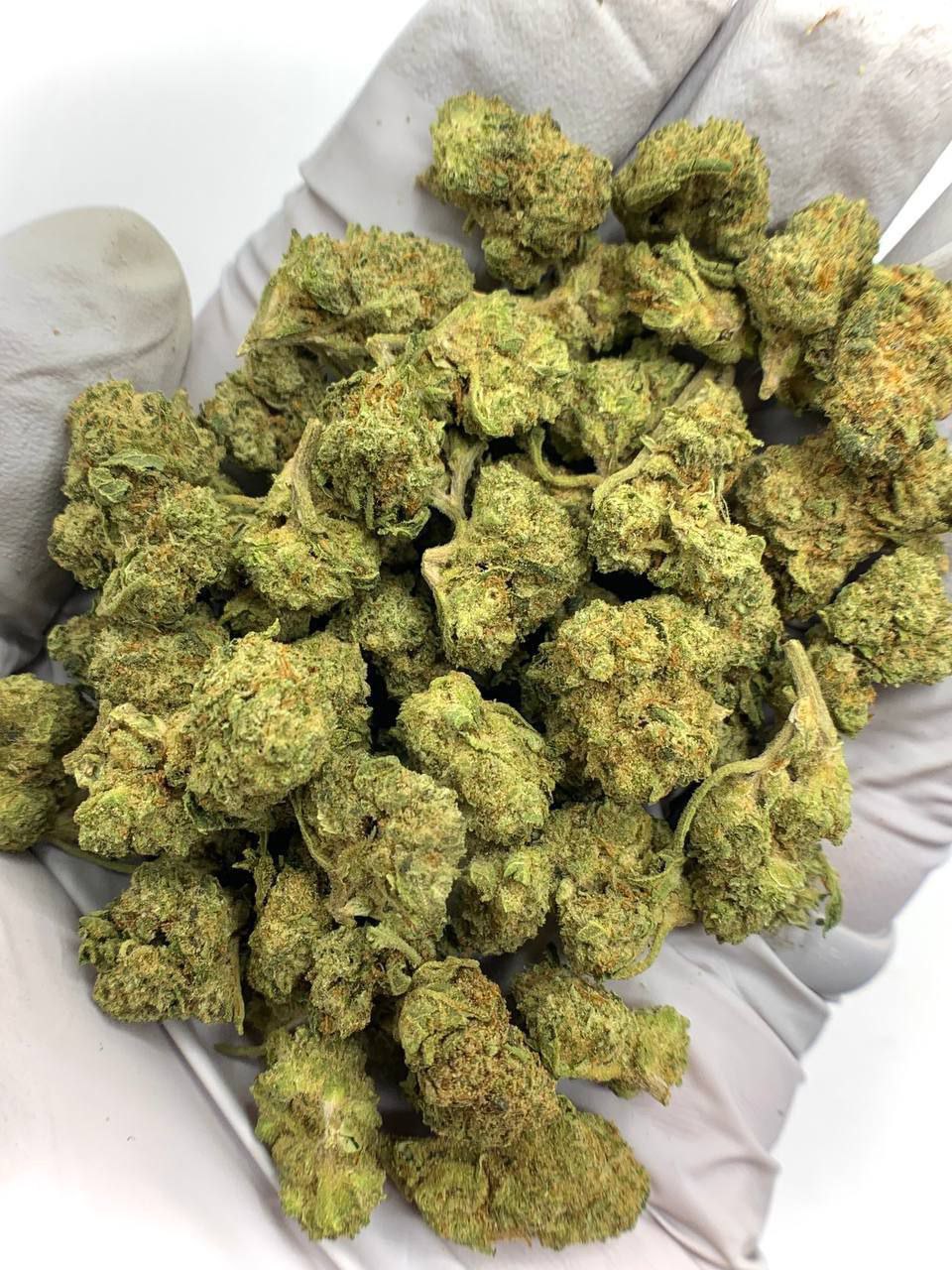 Home 31 Apple Tartz THCA